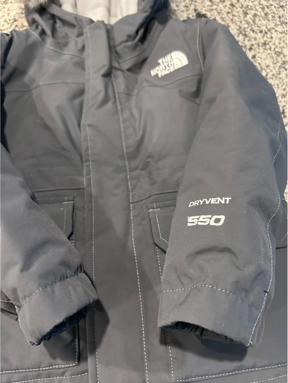 The North Face north face
